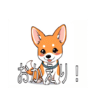 バセンジーがいっぱい（個別スタンプ：13）