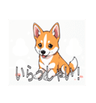 バセンジーがいっぱい（個別スタンプ：14）