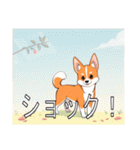 バセンジーがいっぱい（個別スタンプ：25）