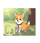 バセンジーがいっぱい（個別スタンプ：26）