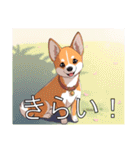 バセンジーがいっぱい（個別スタンプ：36）