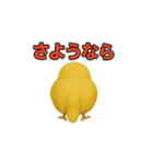 絶対に見ないで かわいすぎ注意報発令中（個別スタンプ：8）