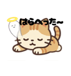 猫スーパー可愛いイラストのスタンプ（個別スタンプ：19）