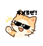 猫スーパー可愛いイラストのスタンプ（個別スタンプ：27）
