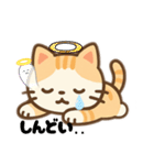 猫スーパー可愛いイラストのスタンプ（個別スタンプ：36）