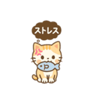 猫スーパー可愛いイラストのスタンプ（個別スタンプ：38）