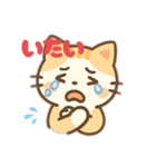 猫スーパー可愛いイラストのスタンプ（個別スタンプ：40）