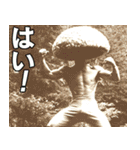 休日の中年男性スタンプ（個別スタンプ：20）