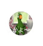 諫早弁 よかよ～！（個別スタンプ：2）