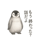 繊細さんのためのリアル動物スタンプ（個別スタンプ：10）