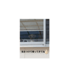バオちんのスタンプ  part2（個別スタンプ：2）