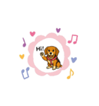可愛いピーグル犬（個別スタンプ：5）