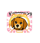 可愛いピーグル犬（個別スタンプ：7）