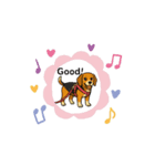 可愛いピーグル犬（個別スタンプ：8）