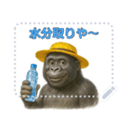 gorigoriのゴリラスタンプ 夏1（個別スタンプ：1）