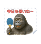 gorigoriのゴリラスタンプ 夏1（個別スタンプ：2）