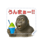 gorigoriのゴリラスタンプ 夏1（個別スタンプ：16）