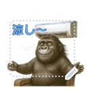 gorigoriのゴリラスタンプ 夏1（個別スタンプ：17）