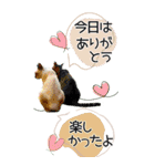 ぬこさんオールスターズ大人の日常会話！！（個別スタンプ：7）