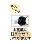 ぬこさんオールスターズ大人の日常会話！！（個別スタンプ：22）