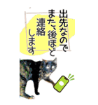 ぬこさんオールスターズ大人の日常会話！！（個別スタンプ：24）
