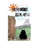 ぬこさんオールスターズ大人の日常会話！！（個別スタンプ：35）