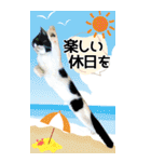 ぬこさんオールスターズ大人の日常会話！！（個別スタンプ：37）