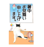 ぬこさんオールスターズ大人の日常会話！！（個別スタンプ：40）