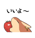 パンケーキのうさぎ（個別スタンプ：1）
