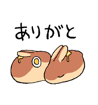 パンケーキのうさぎ（個別スタンプ：3）