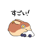 パンケーキのうさぎ（個別スタンプ：20）