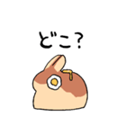 パンケーキのうさぎ（個別スタンプ：34）