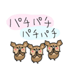 チョコタンチワワダヨ！！（個別スタンプ：33）
