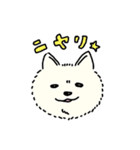 超絶可愛いイカれたイッヌ〜寄せ集め〜（個別スタンプ：6）