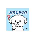 毎日使える☆もふもふワンちゃんスタンプ 2（個別スタンプ：1）