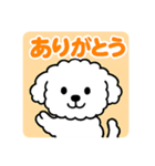 毎日使える☆もふもふワンちゃんスタンプ 2（個別スタンプ：2）