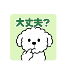 毎日使える☆もふもふワンちゃんスタンプ 2（個別スタンプ：3）