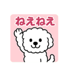 毎日使える☆もふもふワンちゃんスタンプ 2（個別スタンプ：6）
