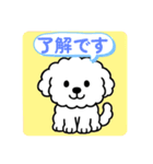 毎日使える☆もふもふワンちゃんスタンプ 2（個別スタンプ：7）