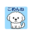 毎日使える☆もふもふワンちゃんスタンプ 2（個別スタンプ：8）