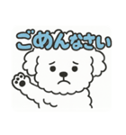 毎日使える☆もふもふワンちゃんスタンプ（個別スタンプ：5）