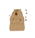 ゆるめなマーモット（個別スタンプ：21）