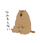 ゆるめなマーモット（個別スタンプ：24）