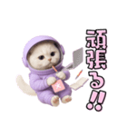 毎日使える！宇宙ねこ（個別スタンプ：10）