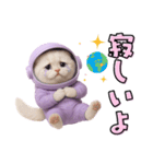 毎日使える！宇宙ねこ（個別スタンプ：15）