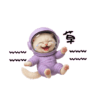 毎日使える！宇宙ねこ（個別スタンプ：23）