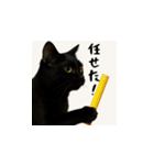 小花達のちょい笑スタンプ（日本語）（個別スタンプ：6）