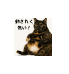 小花達のちょい笑スタンプ（日本語）（個別スタンプ：7）