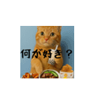 小花達のちょい笑スタンプ（日本語）（個別スタンプ：8）