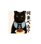 小花達のちょい笑スタンプ（日本語）（個別スタンプ：12）